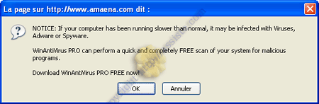 Crapware - Ransomware - Rogue antispyware - Rogue antivirus - Rackett - Rançonnage