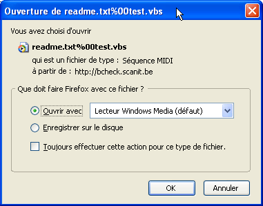 Tests de vulnérabilités en ligne - Browser Security Test