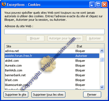 Cookie Manager > Onglet "Cookies Sites" - ici, une liste des sites qui ne pourront plus créer de cookies